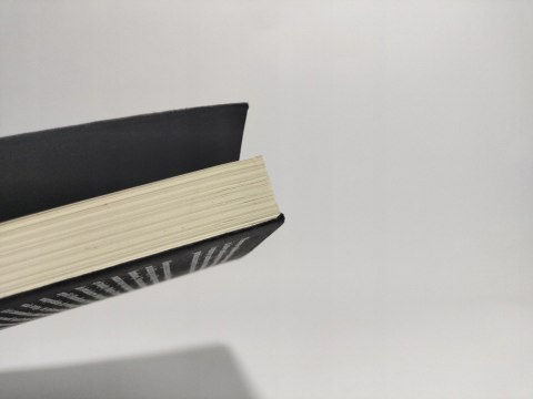 Czarna skóra, białe maski. Frantz Fanon