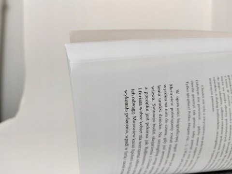 Gra z historią. Powstanie styczniowe w prozie polskiej. Ewa Tierling-Śledź