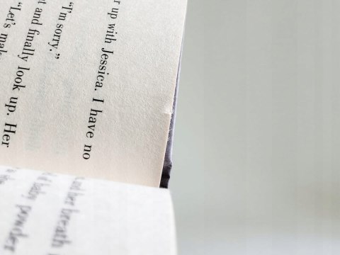 People Like Us. Dana Mele (ENG)