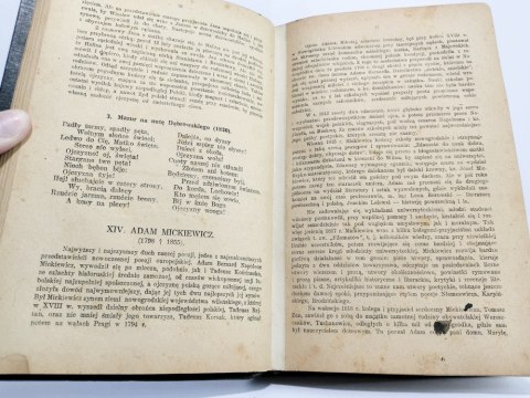 Pisarze polscy. Życiorysy, streszczenia, wyjątki. Henryk Galle