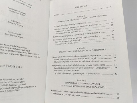 Podkultura więzienna - wielowymiarowość rzeczywistości penitencjarnej.