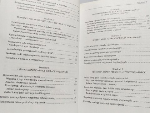 Podkultura więzienna - wielowymiarowość rzeczywistości penitencjarnej.