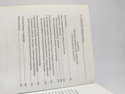 Podkultura więzienna - wielowymiarowość rzeczywistości penitencjarnej.