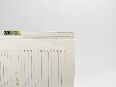Teneryfa. Travelbook. Bezdroża. Berenika Wilczyńska