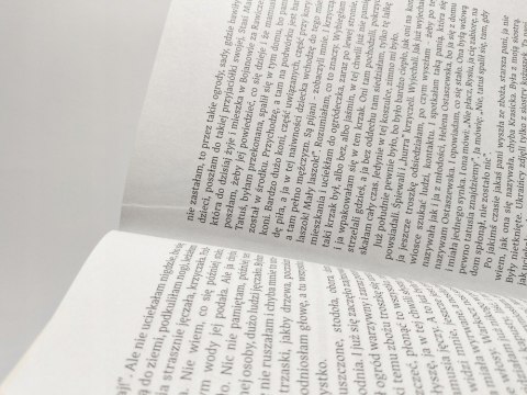 Wołyń. Bez komentarza, wywiady, wspomnienia, dokumenty