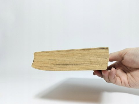 Buddenbrookowie. Tom 1 i 2. Tomasz Mann