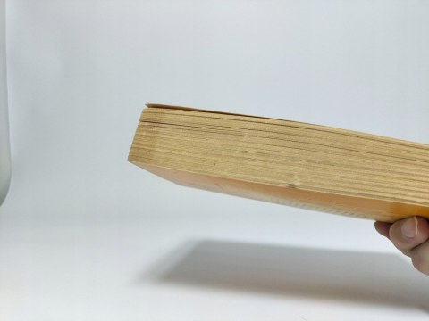 Buddenbrookowie. Tom 1 i 2. Tomasz Mann