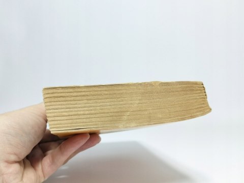 Buddenbrookowie. Tom 1 i 2. Tomasz Mann