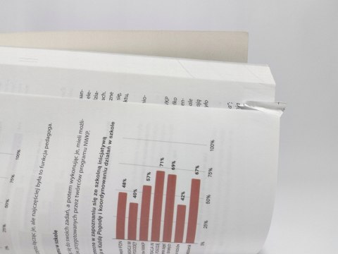 Jak wspierać młodzież w niestabilnym świecie? Dorota Żyro, Szymon Grzelak