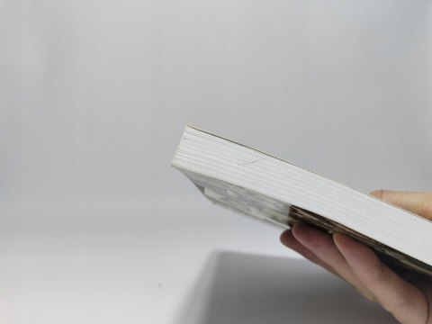 Kamienie na szaniec. Aleksander Kamiński