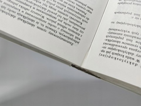 Kryminalistyka. Brunon Hołyst