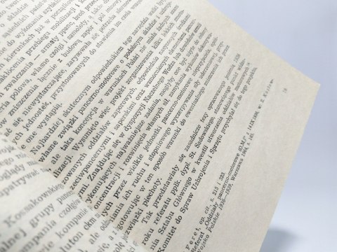 Polska broń pancerna 1939. Rajmund Szubański