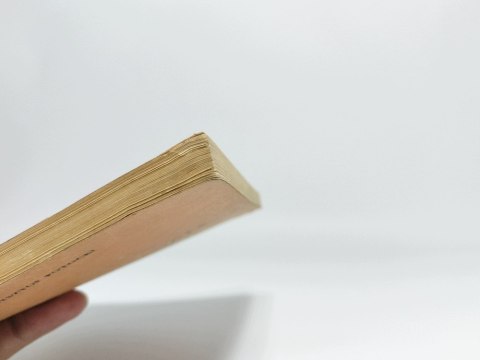 Sex i teologia Szkicowy wybór tematów z zakresu seksuologii K. Potocki