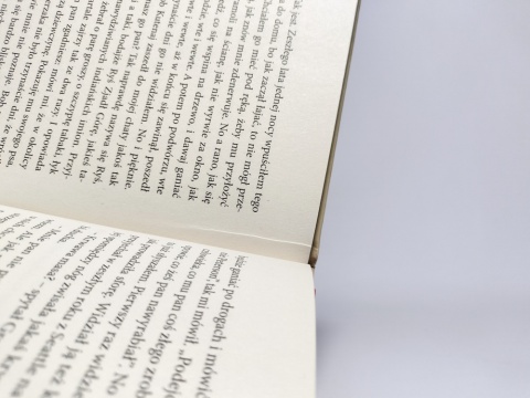 Sny o pociągach. Denis Johnson